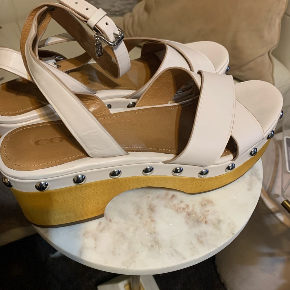 Coach Astor Semi Matte Calf Leather & Wood Ankle Strap Clog Sandals size 10 US